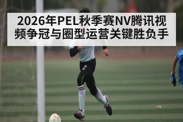 2026年PEL秋季赛NV腾讯视频争冠与圈型运营关键胜负手